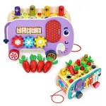 Puidust hariduslik kuubik &bdquo;Elefantas&ldquo; 8-in-1: k&auml;ru, sorteerija, kellukesed, putukate p&uuml;&uuml;dmine &ndash; ECOTOYS