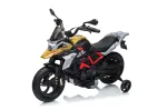 Vehicle Motor BMW G310GS Champagne