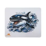 &bdquo;Baracuda Orca&ldquo;, valge, 300 x 250 mm