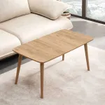 Kohvilaud, Hanah Home, tamm, 100 x 45 x 53