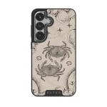 Cancer - Samsung Galaxy S25 Case, Elite Dark (Magnetic) / Silver / Nude