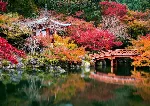 Puzzle 1000 pieces Garden Dai go-ji Kyoto Japan