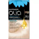 GARNIER_Olia juuksekarva kergendaja B+++