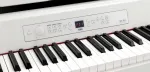 G1B Air White Ash