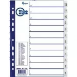 Eralduslehed Forpus A4, 12-1 numbrit, plastik 0807-022