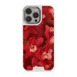 Goddess Energy - iPhone 16 Pro Case, Elite Light (MagSafe) / Silver