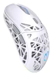 "ENDORFY LIV Plus Wireless Onyx white"