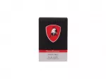 Lamborghini Invincibile 100x2ml