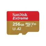 SDSQXAV-256G-GN6GN