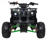WILDPEAK 110cc Green Gasoline Quad Bike