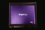 BrightSign XD236- 4K Player, PoE+, Audio & Storage