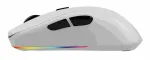 RIFT Gaming RGB Dual White