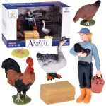 FARM ANIMALS SERIES Farmer and birds set - hen, rooster, goose ZA6404 C