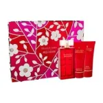 Elizabeth Arden Red Door SET EDT 100 ml + kehakreem Red Door 100 ml + du&scaron;igeel Red Door 100 ml, 100ml