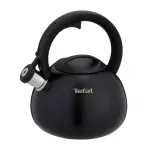TEFAL N4180410 elektrita veekeetja