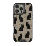 Salem - iPhone 16 Pro Max Case, Elite Dark (MagSafe) / Silver