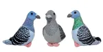 Plush toy - 0097 - PIGEON - size 22 cm