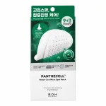 BIOHEAL BOH - Panthecell Repair Cica Micro Spot Patch, 12 patches