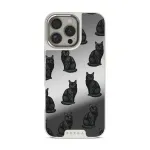 Salem - iPhone 16 Pro Max Case, Elite Mirror Light (MagSafe) / Silver