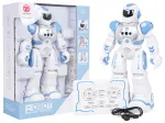 Multifunctional Robot SMART-BOT