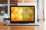 BP160W1B Bright Screen Privacy Filter for 16"