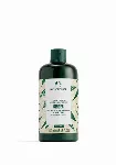 The Body Shop - K&otilde;&otilde;mavastane palsam Ginger (palsam) - 250 ml
