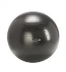 Gymnic Plus pall 65, must