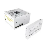 &bdquo;Dockpower F I 1000 W Gold Snow&ldquo;