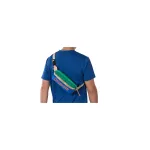 JANSPORT Washington WaistPack - ROHELINE