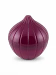 SFS05 Onion Saver