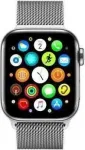 Mesh Apple Watch 42mm Silver