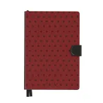 Red Velvet - Infinity Planner
