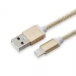 Sbox USB 2.0 8 Pin IPH7-G kuldne
