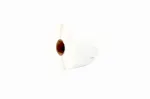 Labels JetWorld Replacement Dymo LW Black on White 32*57mm  LW 11354 (S0722540) (wersja with chip) 1000pcs pack..