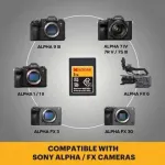 CFexpress Type A 480GB EKMCFXA480GK