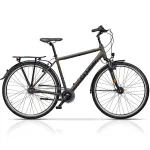 CROSS Citerra 28" N7 suurus 23,5" (60cm) (pruun)