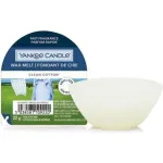 Clean Cotton Wax Melt   Aromatic wax for aroma lamps