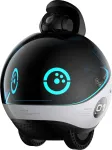 Family Robot Ebo X Black/Gray