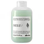 DAVINES_Melu &scaron;ampoon &otilde;rnade ja murdumisohtlike juuste jaoks, 250 ml