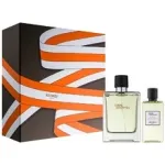 Komplekt meestele Hermes Terre D&acute;Hermes EDT 100 ml + du&scaron;igeel 80 ml