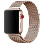 Laineline terasest punutud rihm Apple Watchile 38mm/40mm/41mm, roosa kuld