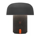 K&otilde;lar/valgusti KOODUU SOUND BY JBL Sensa Play koos JBL-i helis&uuml;steemiga, antratsiit