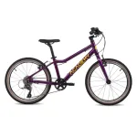 &Uuml;likerge laste jalgratas ACADEMY Grade 4, 20" Purple