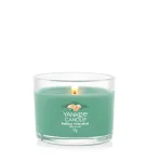 Yankee Candle Holiday Winterfest 37 g