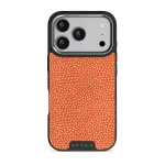 Vintage Edition - Spots iPhone 17 Pro Case, Elite Dark (MagSafe) / Silver