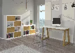 IWO Desk