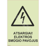 M&auml;rk Ettevaatust! Elektrioht M&auml;rgi alus Kleebis M&auml;rgi t&uuml;&uuml;p luminestsentsm&auml;rk M&auml;rgi suurus 150x220 mm (koos tekstiga) Viipeteksti keel Leedu