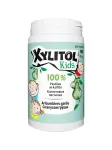 Xylitol Kids pastillid, 90 tk
