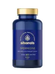 Silvanols SPERMIDINE kapslid, 90 tk