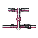 Dashi triibuline lilla ja must tagumine rakmed - reguleeritav kaitserakmed koertele, lilla ja mustad triibud